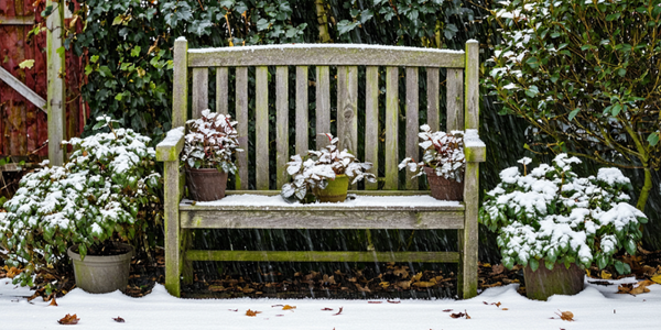 5 Tips You Need To Know To Prepare Your Garden For Winter