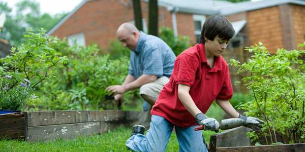 How To Create a Stress-Free Garden At Home In 3 Steps?