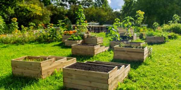 Can You Put Leaves in the Bottom of a Raised Garden Bed? Benefits & Tips Explained