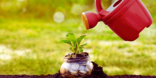 How to Make Money with a Garden: Turn Your Green Thumb into Cash!